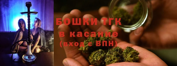 спайс Богданович
