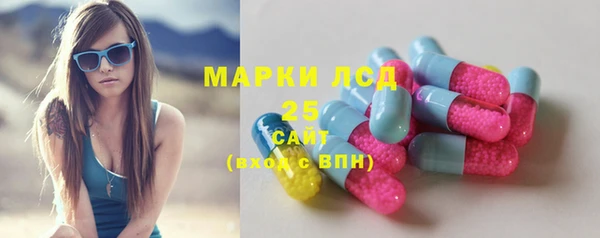 спайс Богданович