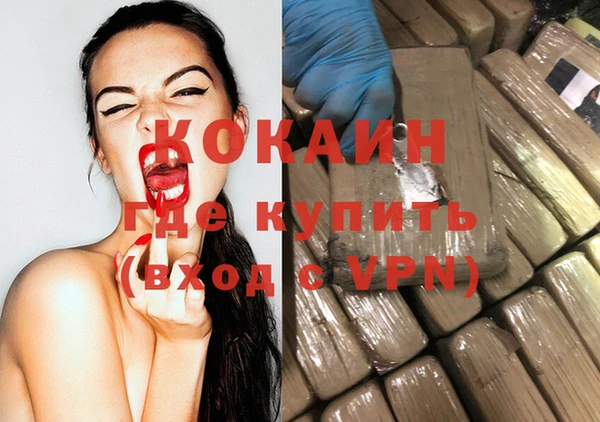 спайс Богданович