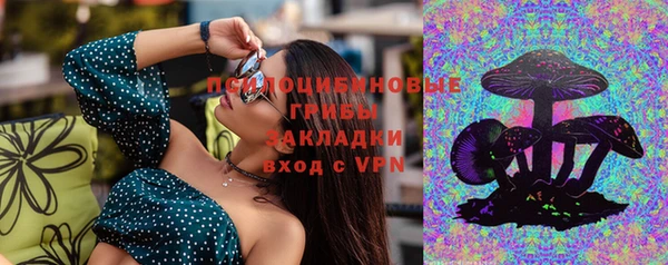 спайс Богданович