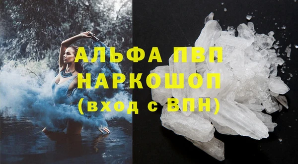 спайс Богданович