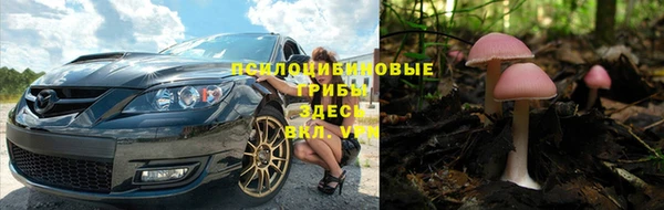 спайс Богданович
