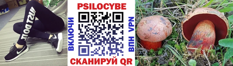 как найти наркотики  Стерлитамак  Галлюциногенные грибы прущие грибы 